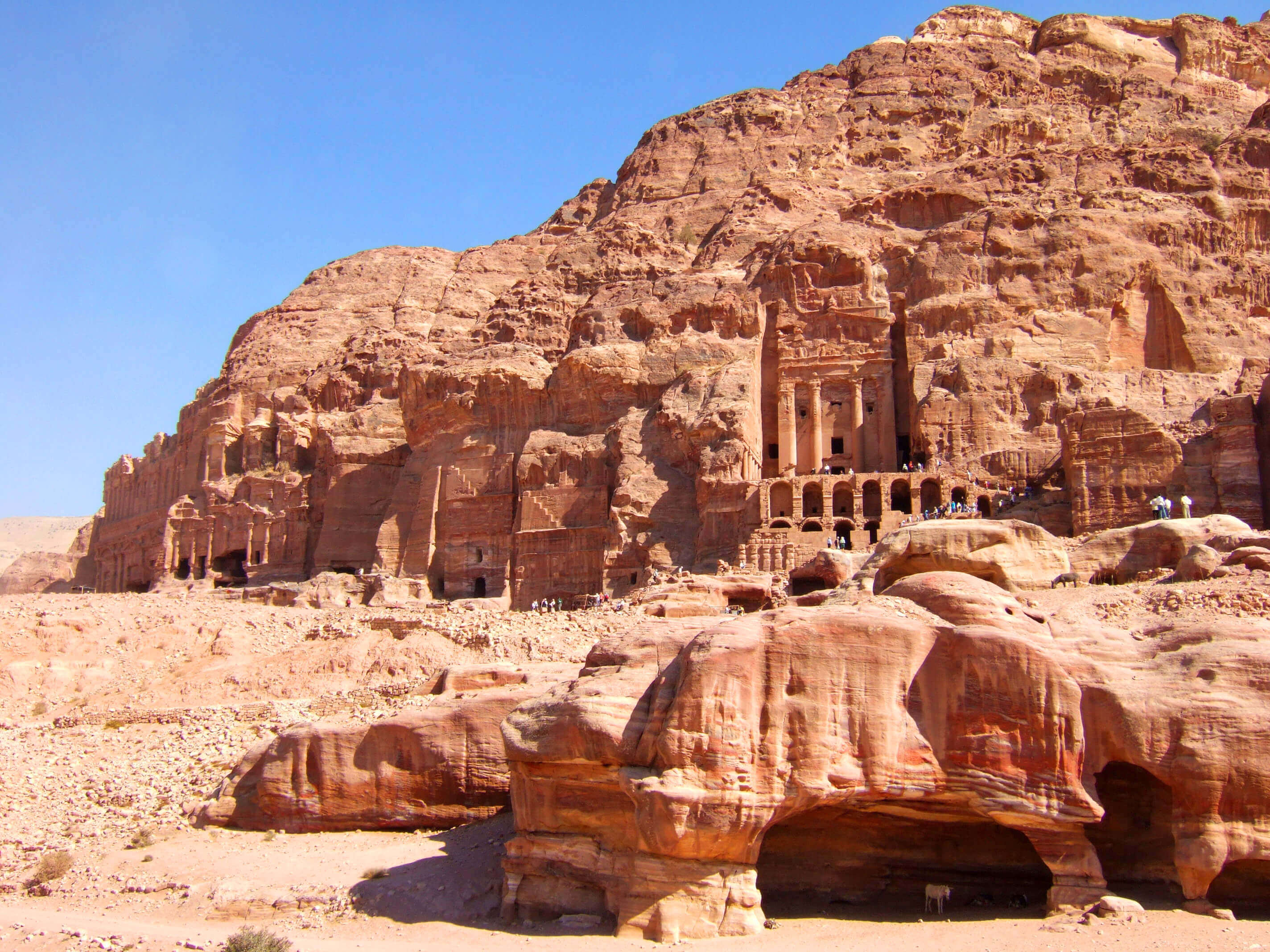 Petra-Day-Tour