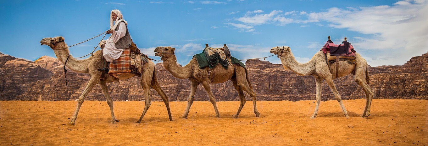 Camel riding in Wadi Rum Jordan