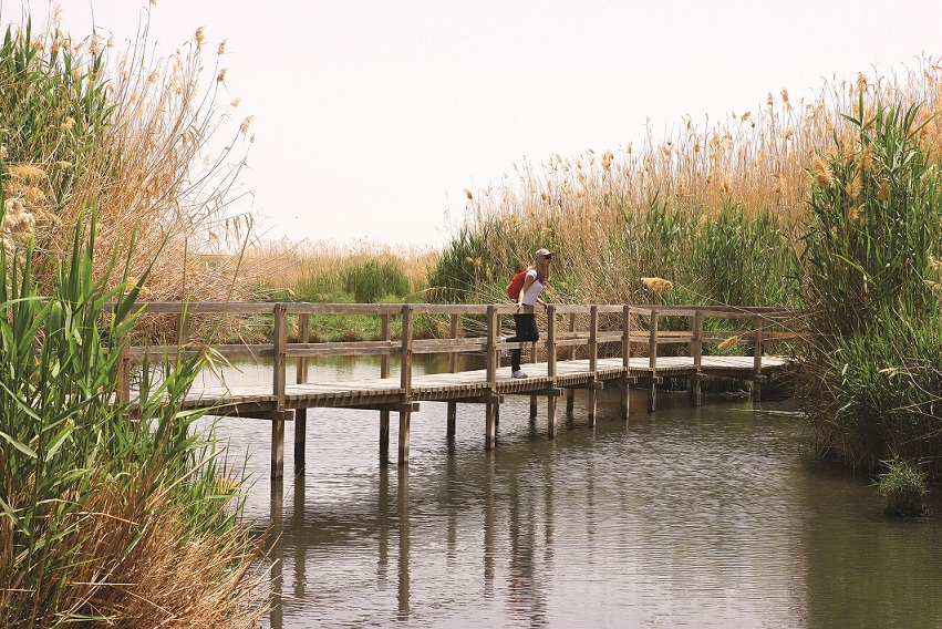 Marsh Trail Azraq Oasis Jordan